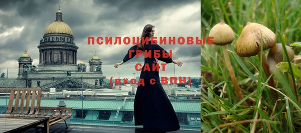 молекула духа Алзамай