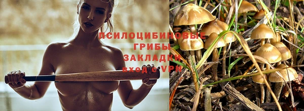 молекула духа Абдулино