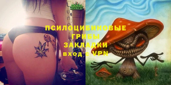 твердый Абинск