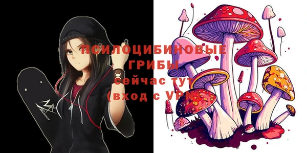 ECSTASY Алексеевка