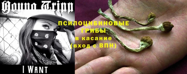 a pvp Абаза