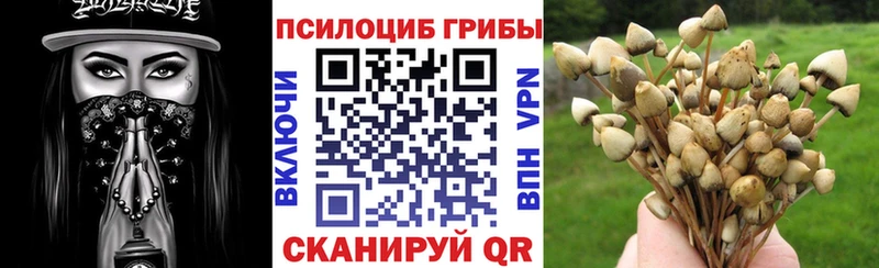 продажа наркотиков Карасук Галлюциногенные грибы GOLDEN TEACHER